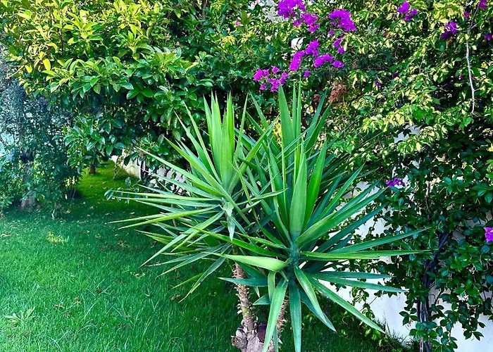 Misli - Heart Of And Newly Renovated Lejlighed